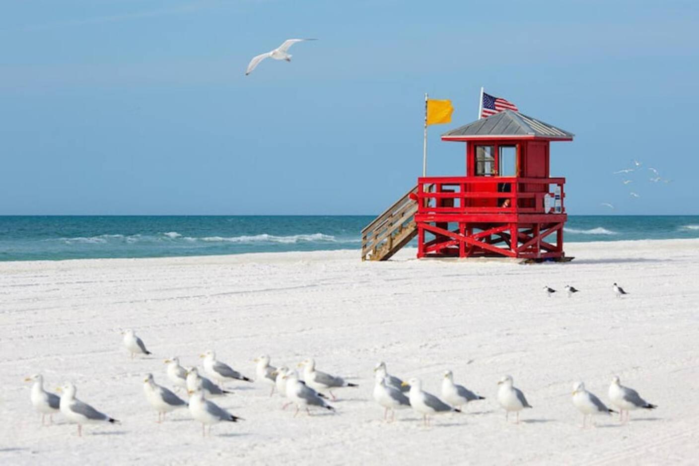 Appartamento Luxury Zen Den With Heated Pool Just Off Siesta Key Sarasota Esterno foto